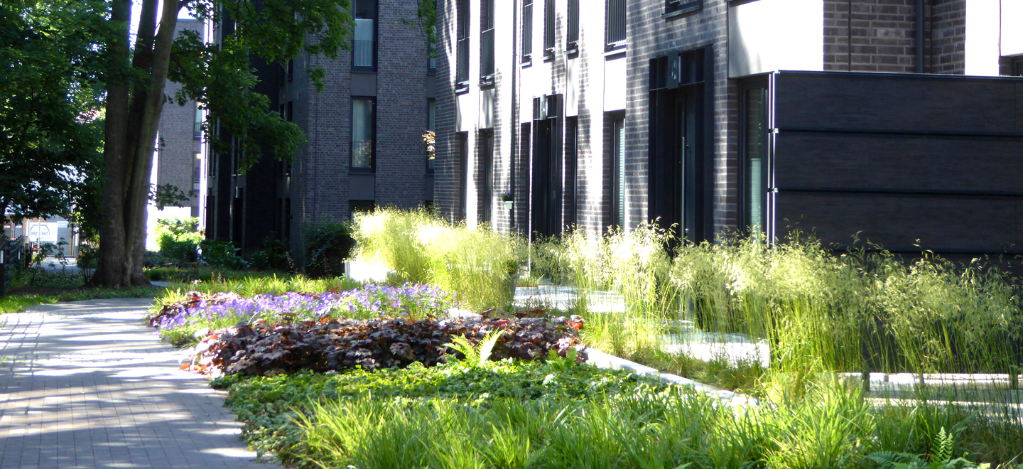 Friedrichsberger Straße Foto